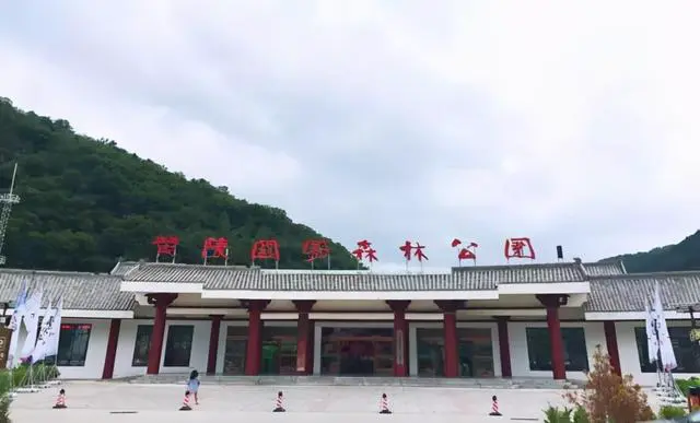 哪里有针对初学者的篮球赛事信息_1